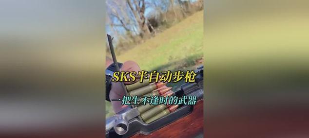 《幽灵行动荒野》新手必备（掌握关键性能指标）